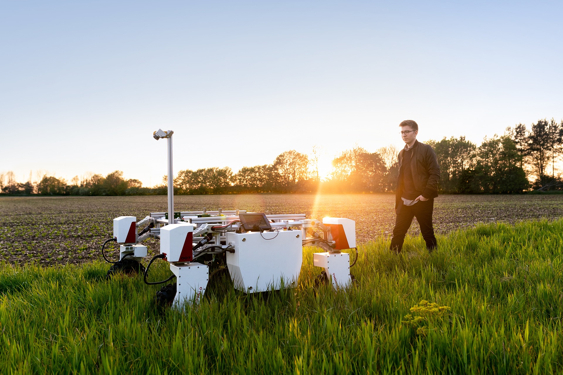 How AI Is Revolutionizing the Agricultural Industry